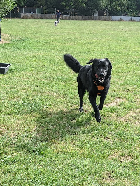 Thrift End Farm Canine & Pet Centre