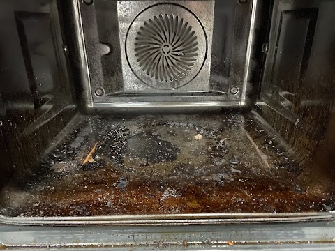 The Oven Cleaner