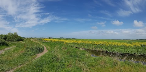 Lunt Meadows Nature Reserve