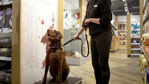 Coastway Vets, Shoreham