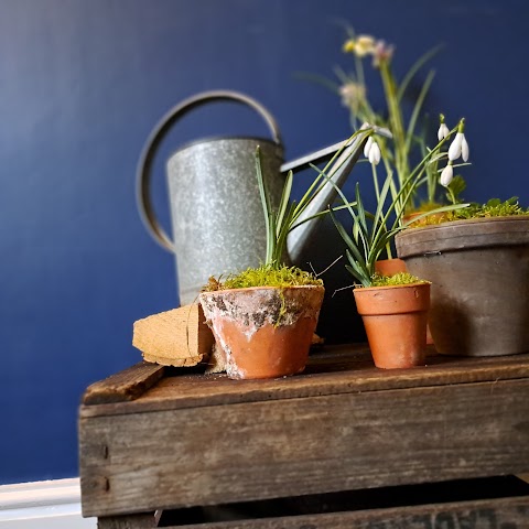 The Watering Can florist