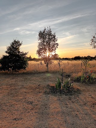 Grow Wild St Neots