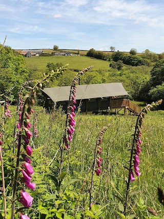 Brackenhill Glamping