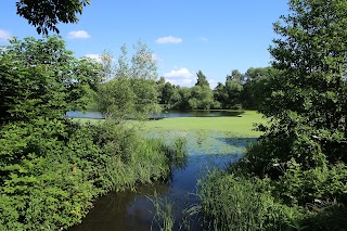 Hurcott Pool & Wood