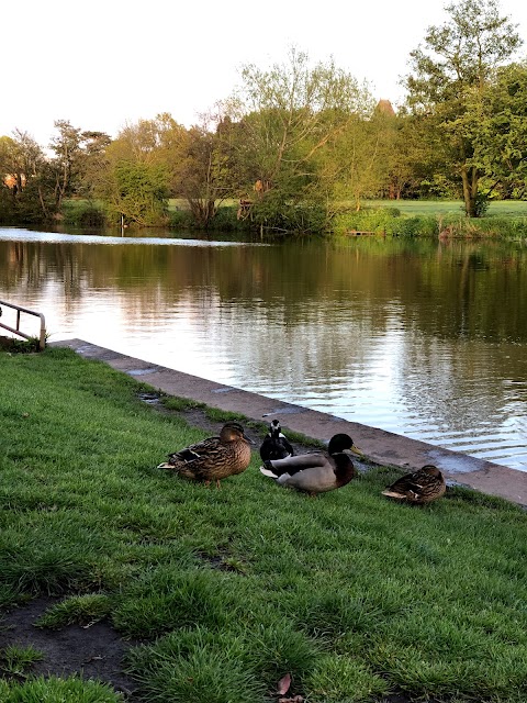 St Nicholas Park Leisure Centre