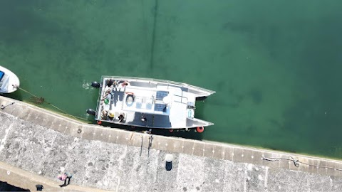 Mourne Sea Tours