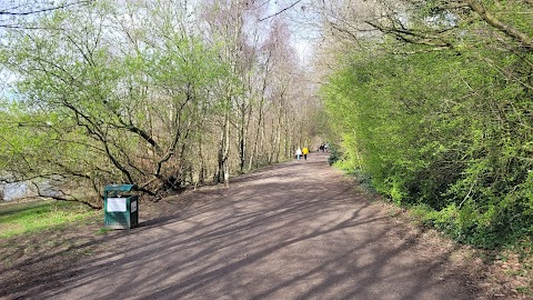 Chorlton Ees Nature Reserve