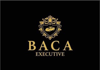 Baca Executive LTD