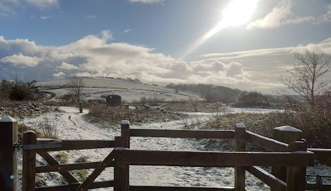 Waun-Y-Llyn Country Park