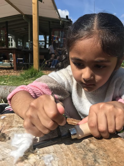 Manchester Bees Forest School