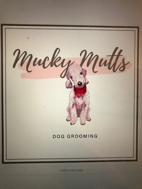 Mucky Mutts dog grooming