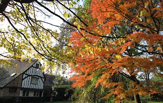 Grange Guest House