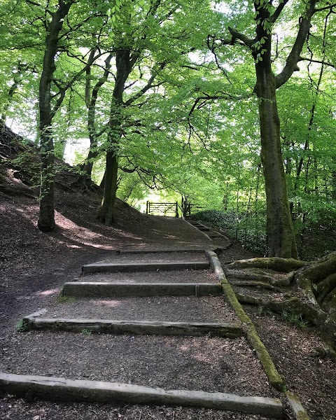 Daisy Nook Country Park