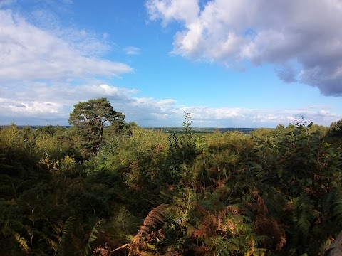 Lightwater Country Park