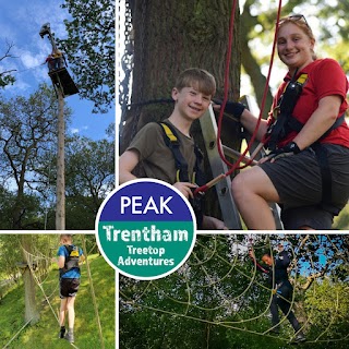 Trentham Treetop Adventures