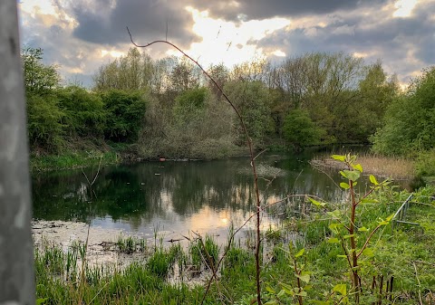 Dearne Valley Country Park