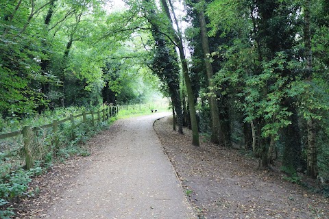 Brereton Heath Local Nature Reserve