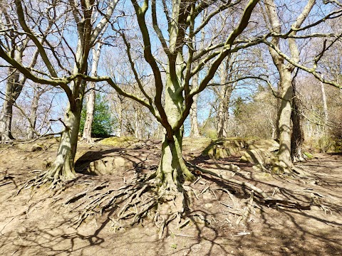 Corstorphine Hill Tower