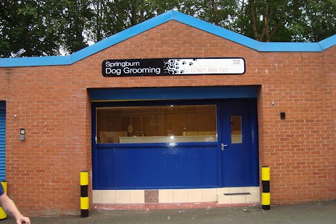 Springburn Dog Grooming