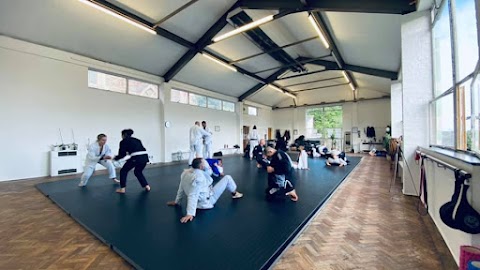 Art of Movement Bristol - Brazilian Jiu Jitsu and Capoeira