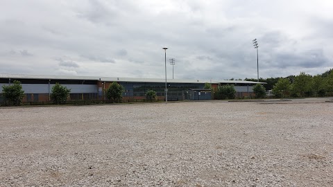 Burton Albion Football Club