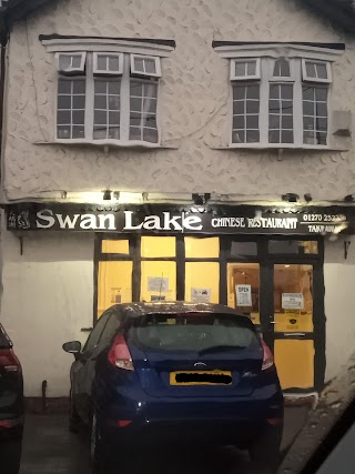 Swan Lake