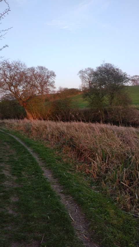 Debdale Grange Kennels and Cattery