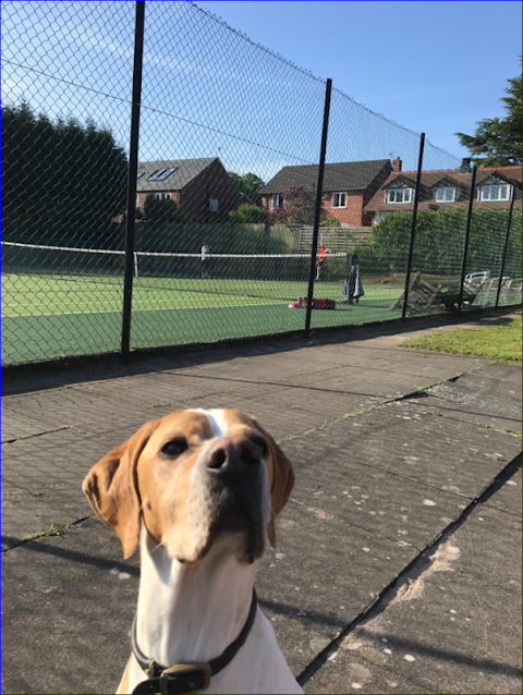 Mellor Tennis Club