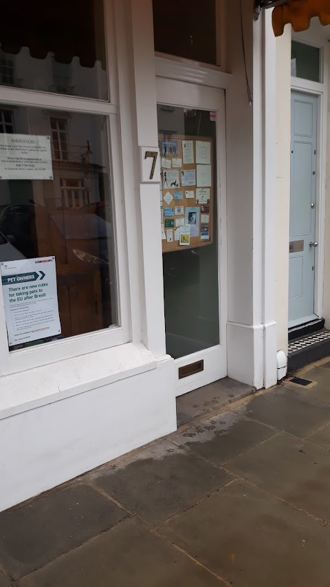 Addison & Holland Park Veterinary Clinic