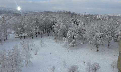 Стебницький парк