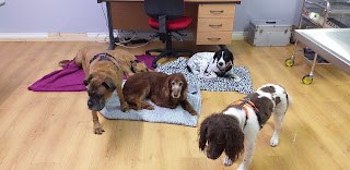 Ballymena Pet Vets