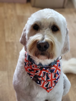 The canine club dog grooming, East Wittering