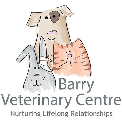 Barry Veterinary Centre - Boverton