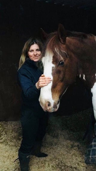 Kathryn Briand-Hall Equine & Human Therapy