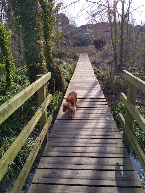 Droitwich Lido Park