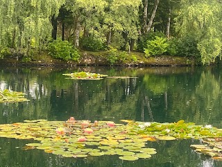 Rouken Glen Pond