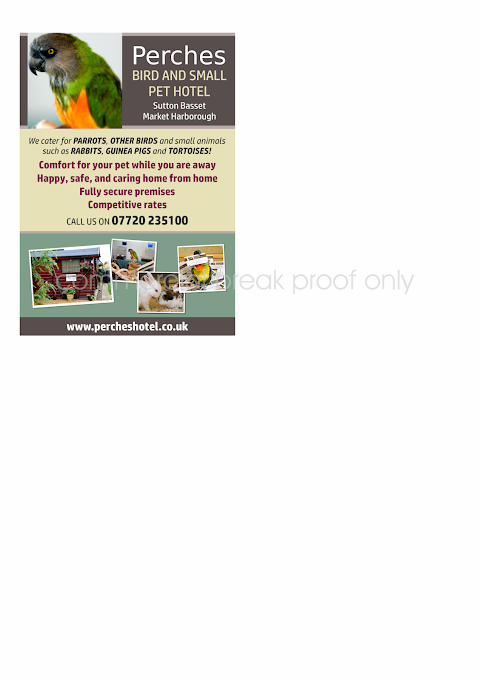 Perches bird and pet hotel