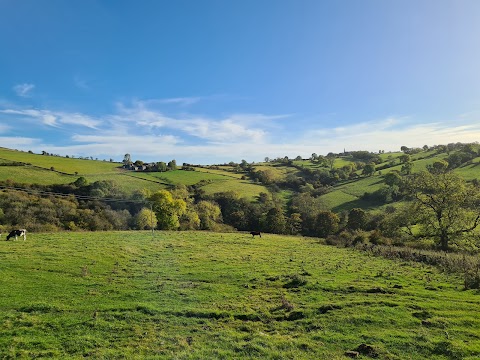 Broadmeadows Farm