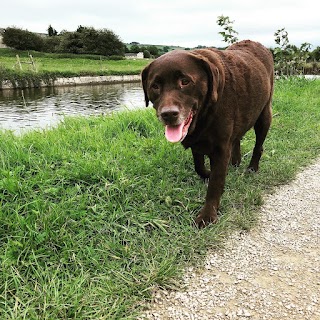 Walkies with Lou Skipton