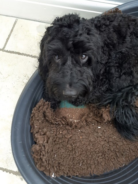 Pets at Home Sutton in Ashfield