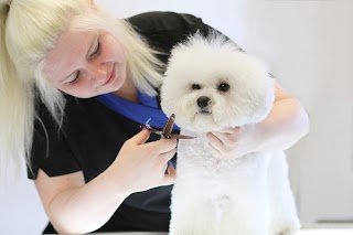 Dogs Delight Grooming Salon & Courses, Chiswick, West London