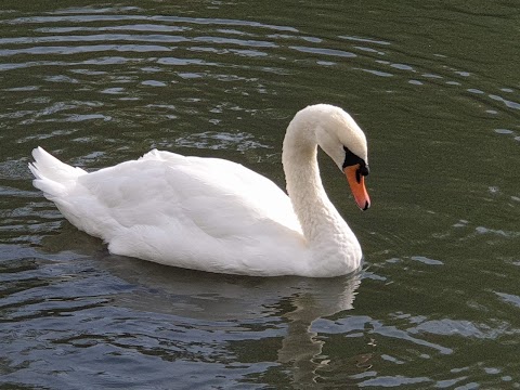 Peel Park, Bradford