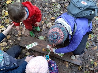 Wild Wood Bristol Forest School