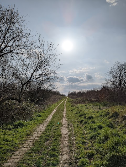 Wincobank Hill Fort