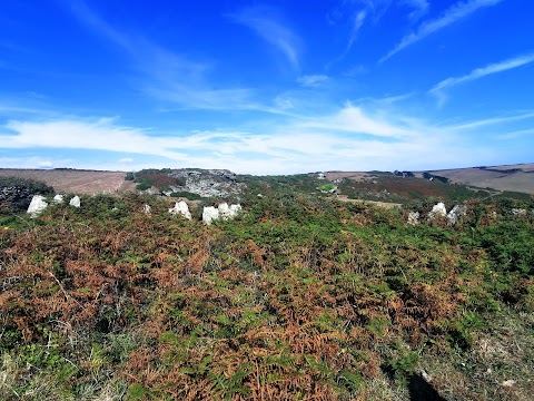 National Trust - Bolberry Down