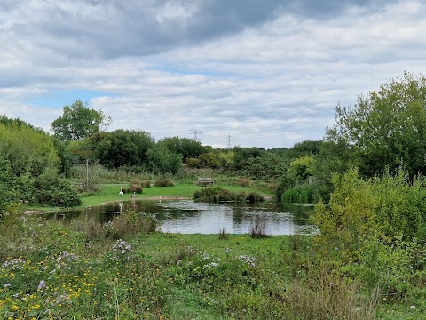 Shinewater Park