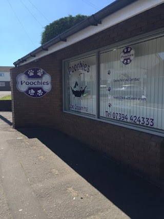 Poochies Dog Grooming Cardiff