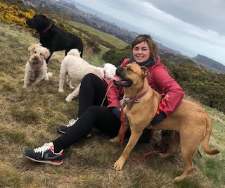 Edinburgh Urban Dog Walker