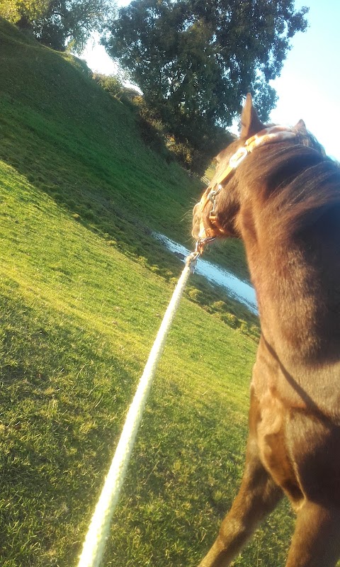 Castle Hill Riding School