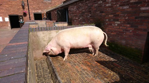 Sandwell Valley Visitor Centre (formerly Sandwell Park Farm)